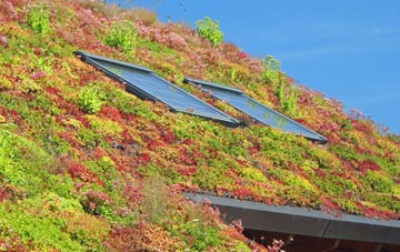 Booth Bridge living roof systems